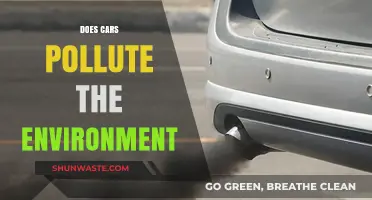 Cars and Environmental Pollution: What's the Truth?