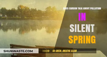 Carson's Silent Spring: Exposing Pollution's Dark Truths