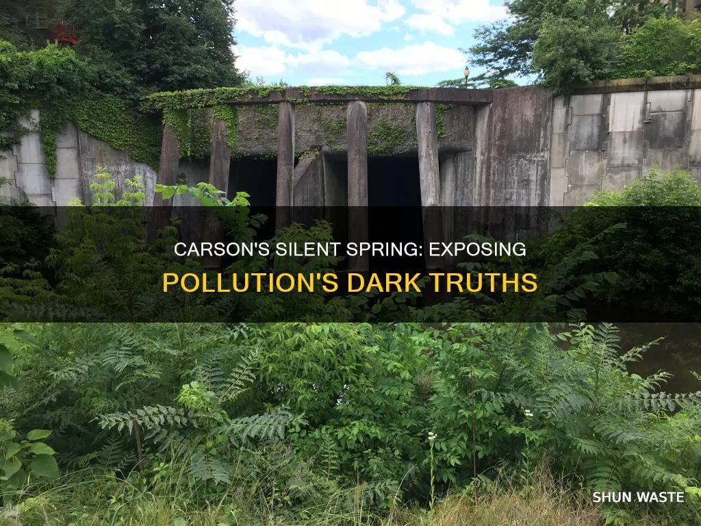 does carson talk about pollution in silent spring