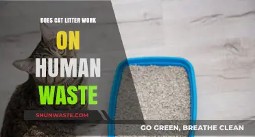 Can Cat Litter Safely Manage Human Waste? Facts and Risks Explained