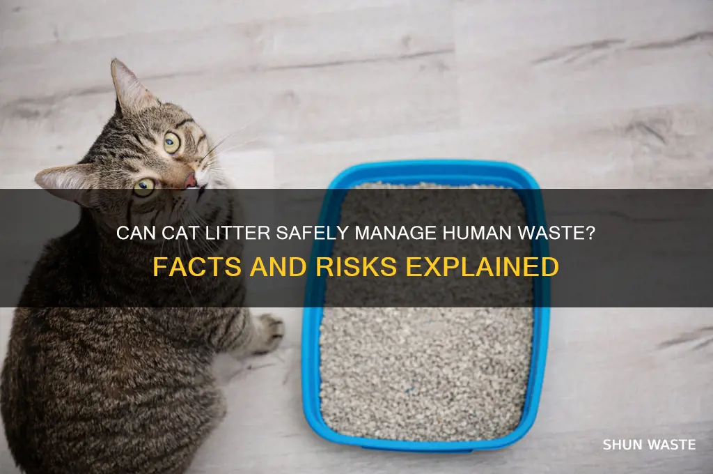 does cat litter work on human waste
