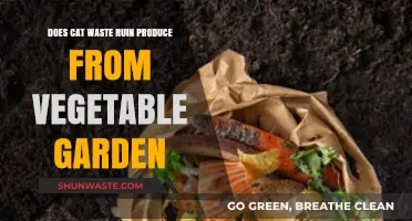 Can Cat Waste Contaminate Your Vegetable Garden Harvest?