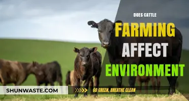 Cattle Farming's Environmental Impact: A Comprehensive Analysis of Effects