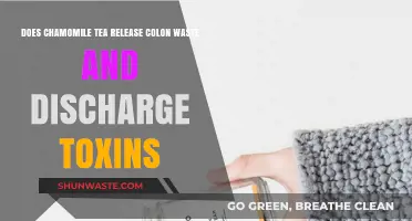 Chamomile Tea: Colon Cleanser or Toxin Detox Myth?