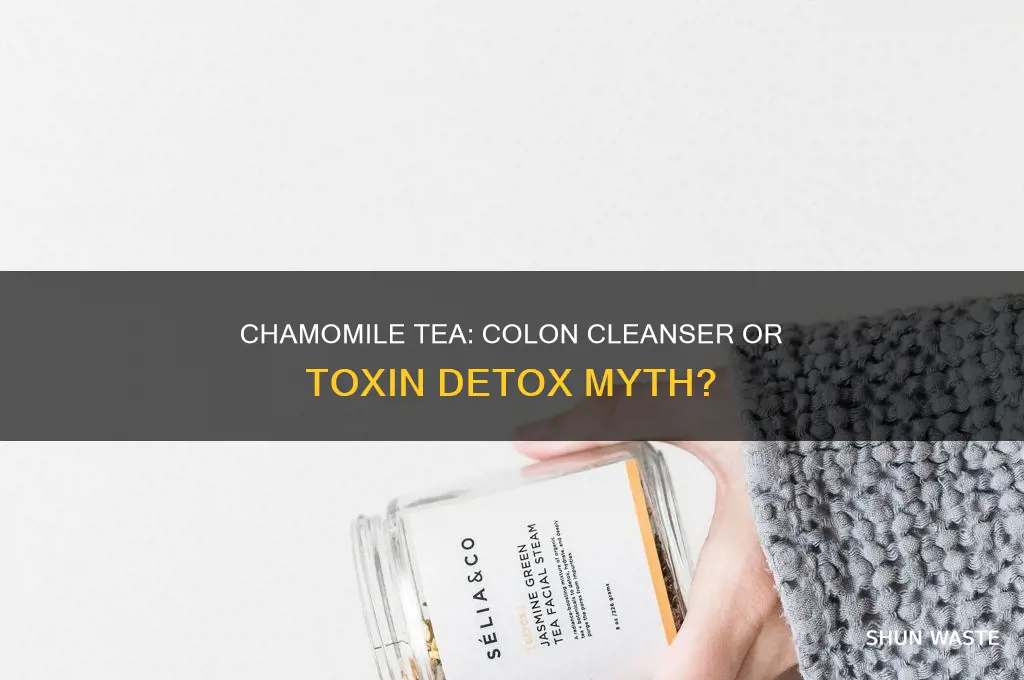 does chamomile tea release colon waste and discharge toxins