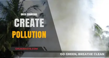 Charcoal's Dark Side: Pollution and Its Impact