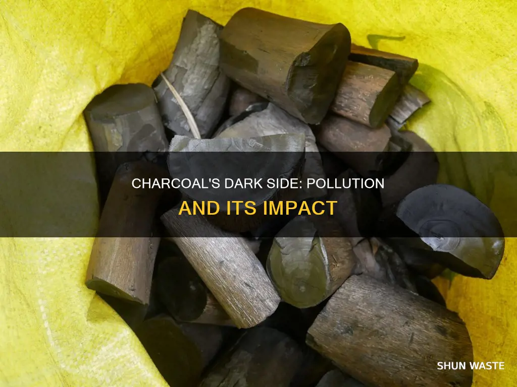 does charcoal create pollution