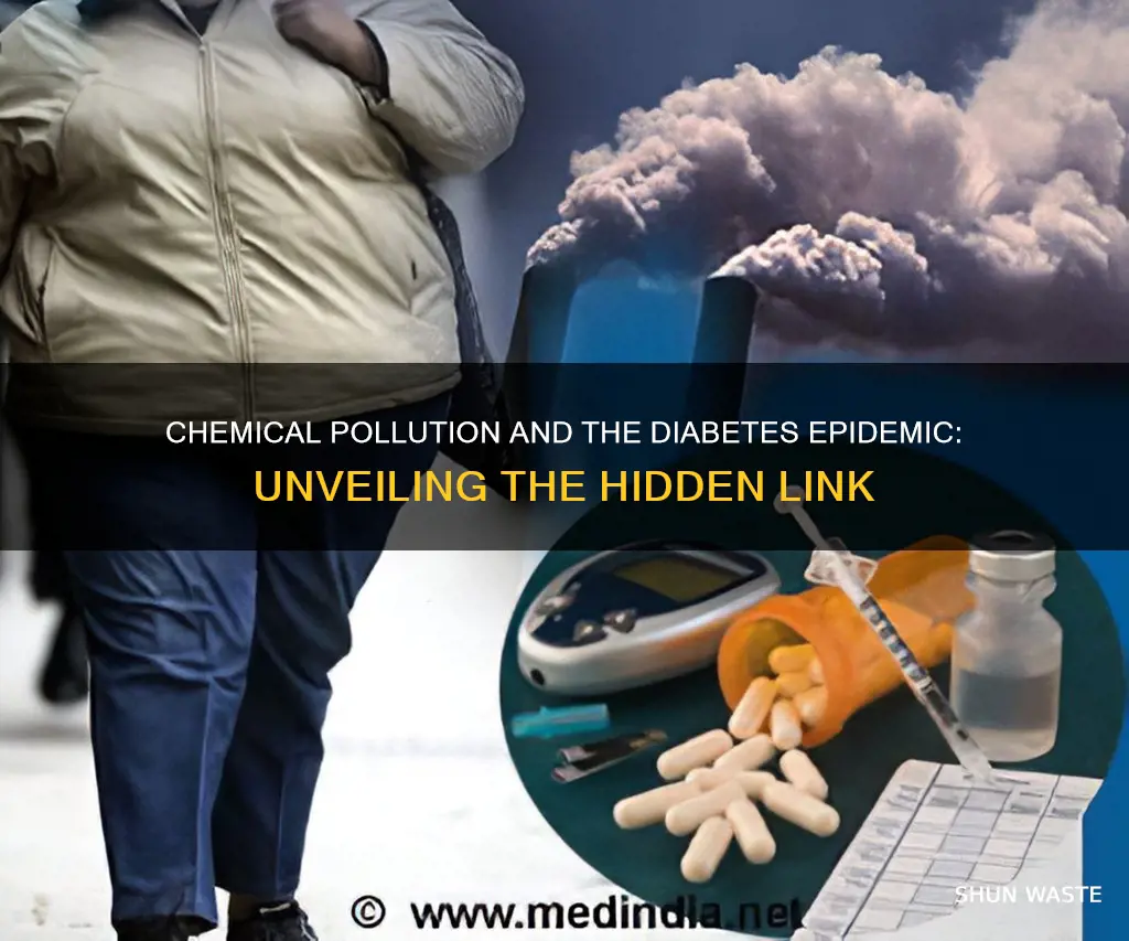 does chemical pollution cause diabetes