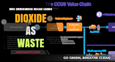 Chemiosmosis and Carbon Dioxide: Unraveling Waste Production in Cellular Respiration