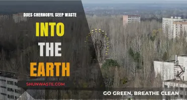 Chernobyl's Legacy: Does Radioactive Waste Still Contaminate the Soil?