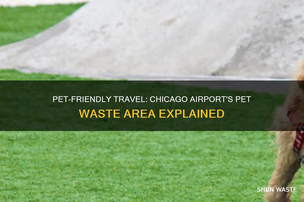 does chicago airport have a pet waste area