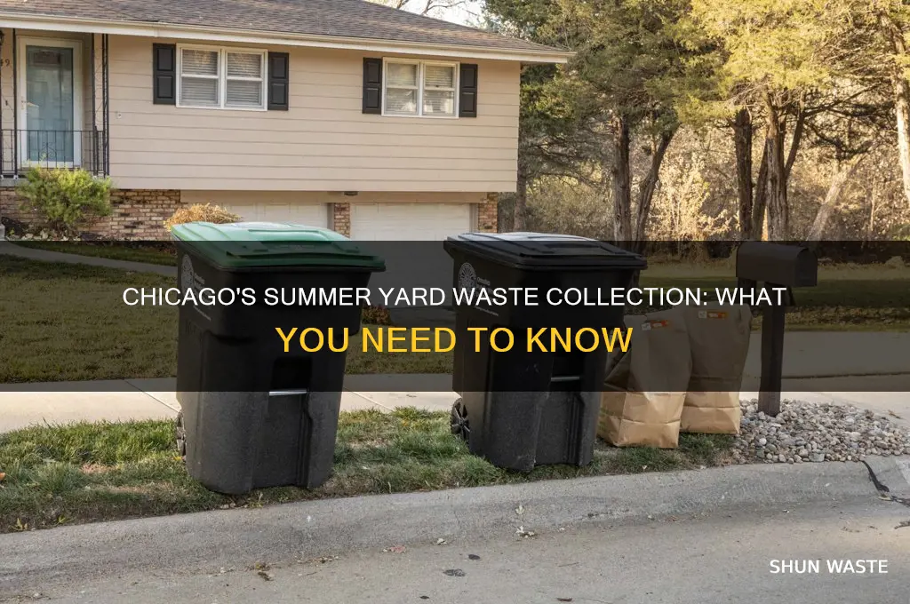 does chicago collect yard waste in the summer