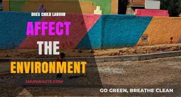 Child Labour's Hidden Impact: Environmental Consequences and Sustainable Solutions