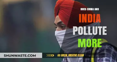 China vs India: Who Pollutes More?
