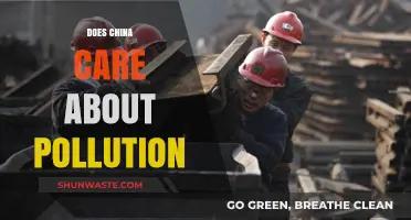 China's Pollution Problem: Who Cares?