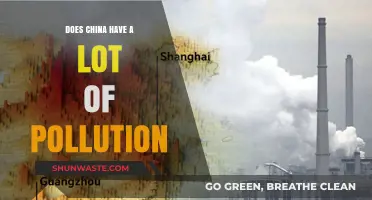 China's Pollution Crisis: A Troubling Reality