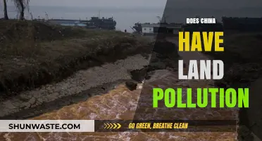 Land Pollution in China: A Growing Concern?