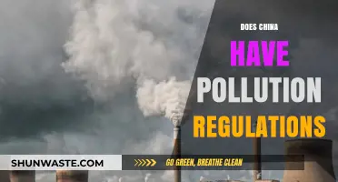 China's Pollution Regulations: What's the Reality?