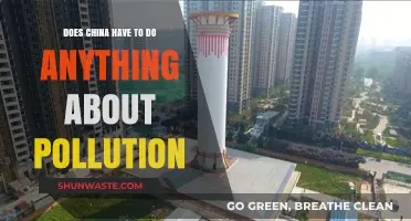 China's Pollution Crisis: What's the Solution?