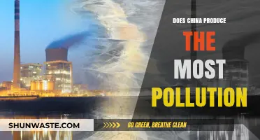 Who Pollutes the Most? China's Pollution Problem
