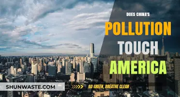 China's Pollution: Does It Reach America's Shores?