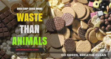 Chips vs. Animals: Which Produces More Waste in Our Diets?