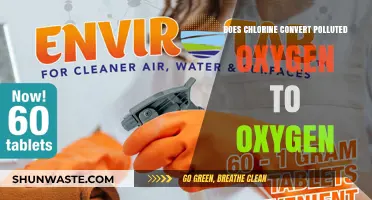 Chlorine's Power: Transforming Polluted Oxygen to Fresh Air
