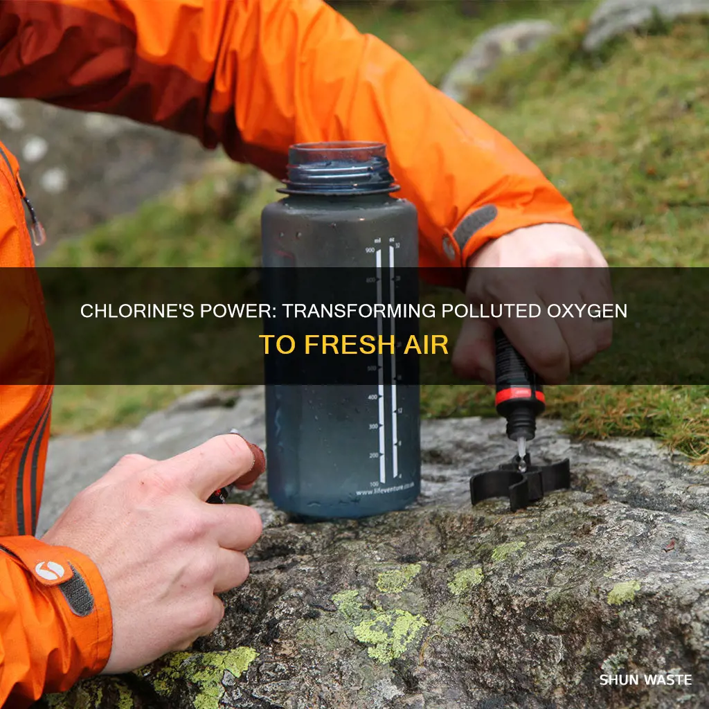 does chlorine convert polluted oxygen to oxygen
