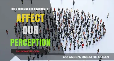 How Our Chosen Environments Shape and Influence Our Daily Perceptions