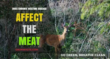 Chronic Wasting Disease: Is It Safe to Consume Infected Meat?