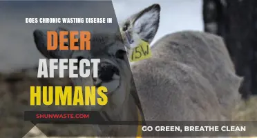 Chronic Wasting Disease in Deer: Human Health Risks Explained