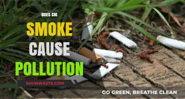 Cigarettes and Their Environmental Impact: A Polluting Habit?