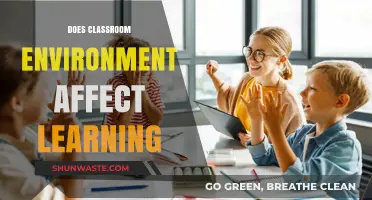 Classroom Environment: Impact on Learning Outcomes and Student Engagement
