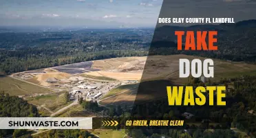 Clay County FL Landfill Dog Waste Disposal Guidelines Explained