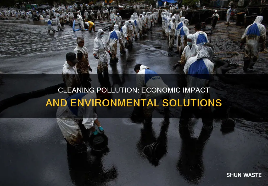 does cleaning pollution affect the economy