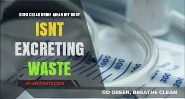 Clear Urine: Sign of Hydration or Waste Excretion Issue?