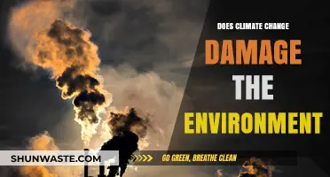 Climate Change's Devastating Impact: Unraveling Environmental Damage and Consequences