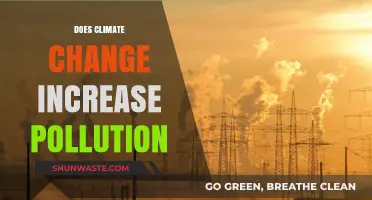 Climate Change: Pollution's Impact and Intensification