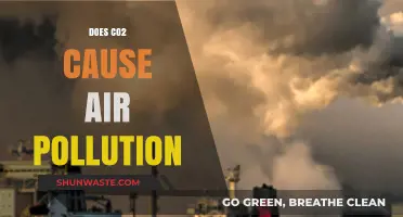 CO2: A Key Player in Air Pollution?