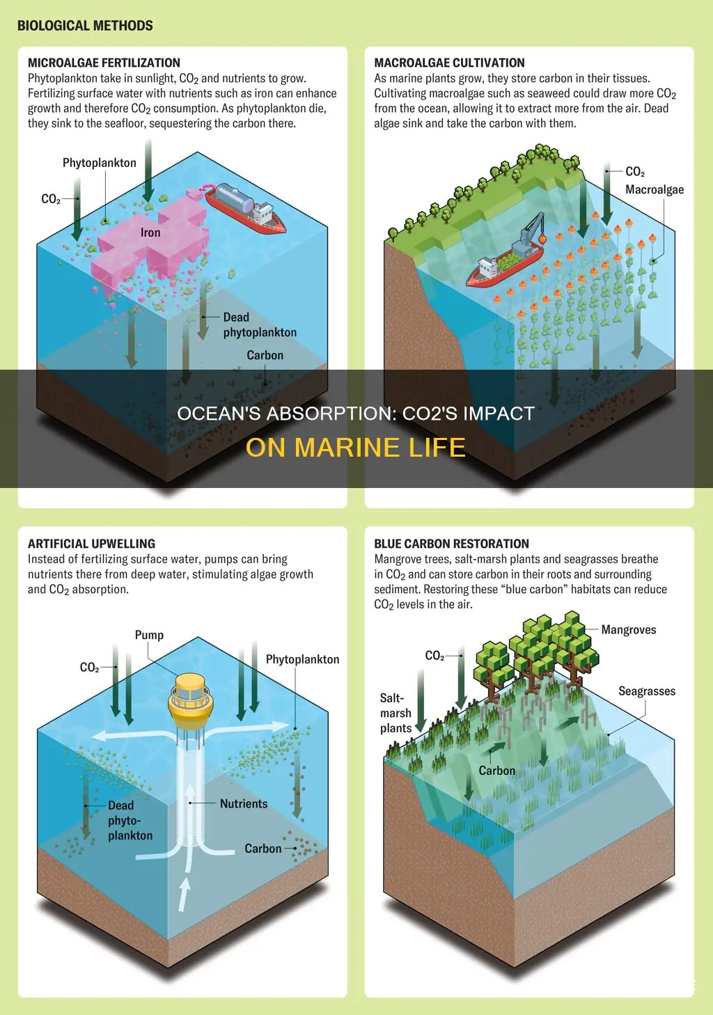 does co2 pollution go into ocean water