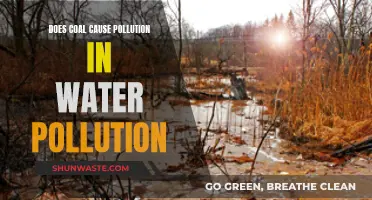 Coal's Dark Secret: Unveiling Water's Hidden Contamination