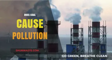 Coal's Dark Secret: Unveiling the Pollution Truth