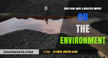 Coal's Environmental Impact: Uncovering the Harmful Effects on Our Planet