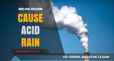 Coal's Dark Secret: Unveiling the Acid Rain Connection