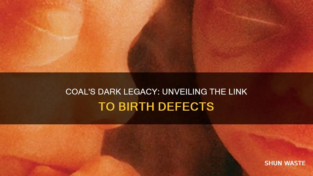 does coal pollution cause birth defects