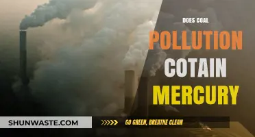 Coal Pollution: Mercury's Toxic Legacy