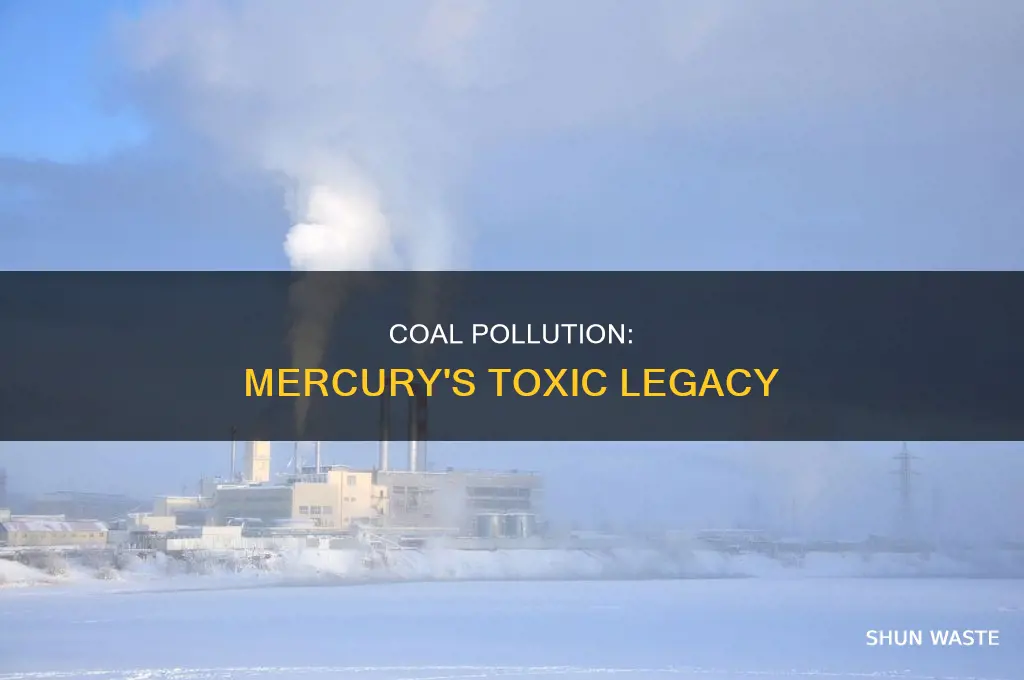 does coal pollution cotain mercury