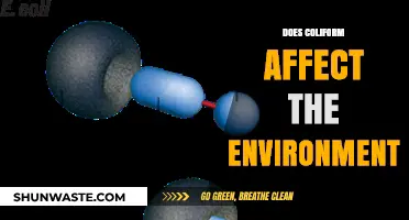 Coliform's Environmental Impact: Understanding Its Effects on Ecosystems