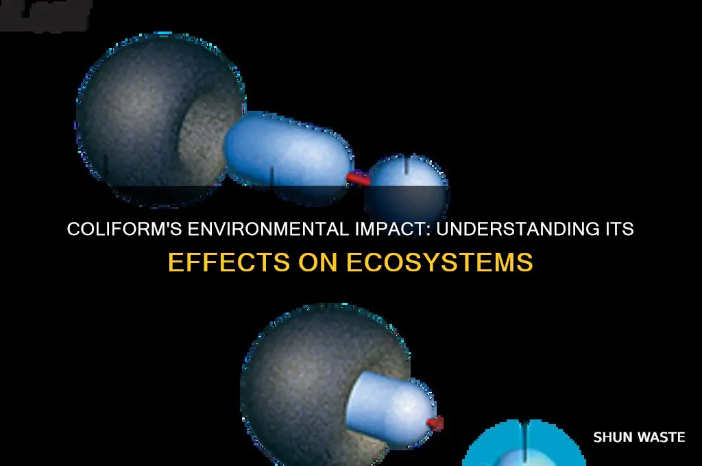 Coliform's Environmental Impact: Understanding Its Effects On ...