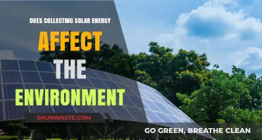 Solar Energy Collection: Environmental Impact and Sustainability Explored